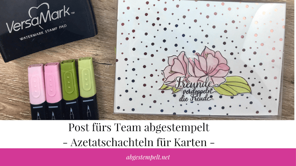 abgestempelt.net Blogvorschaubild Post fürs Team abgestempelt Azetatschachteln für Karten