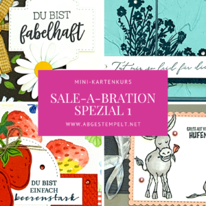 Mini-Kartenkurs Sale-a-bration Spezial 1 stampin up abgestempelt