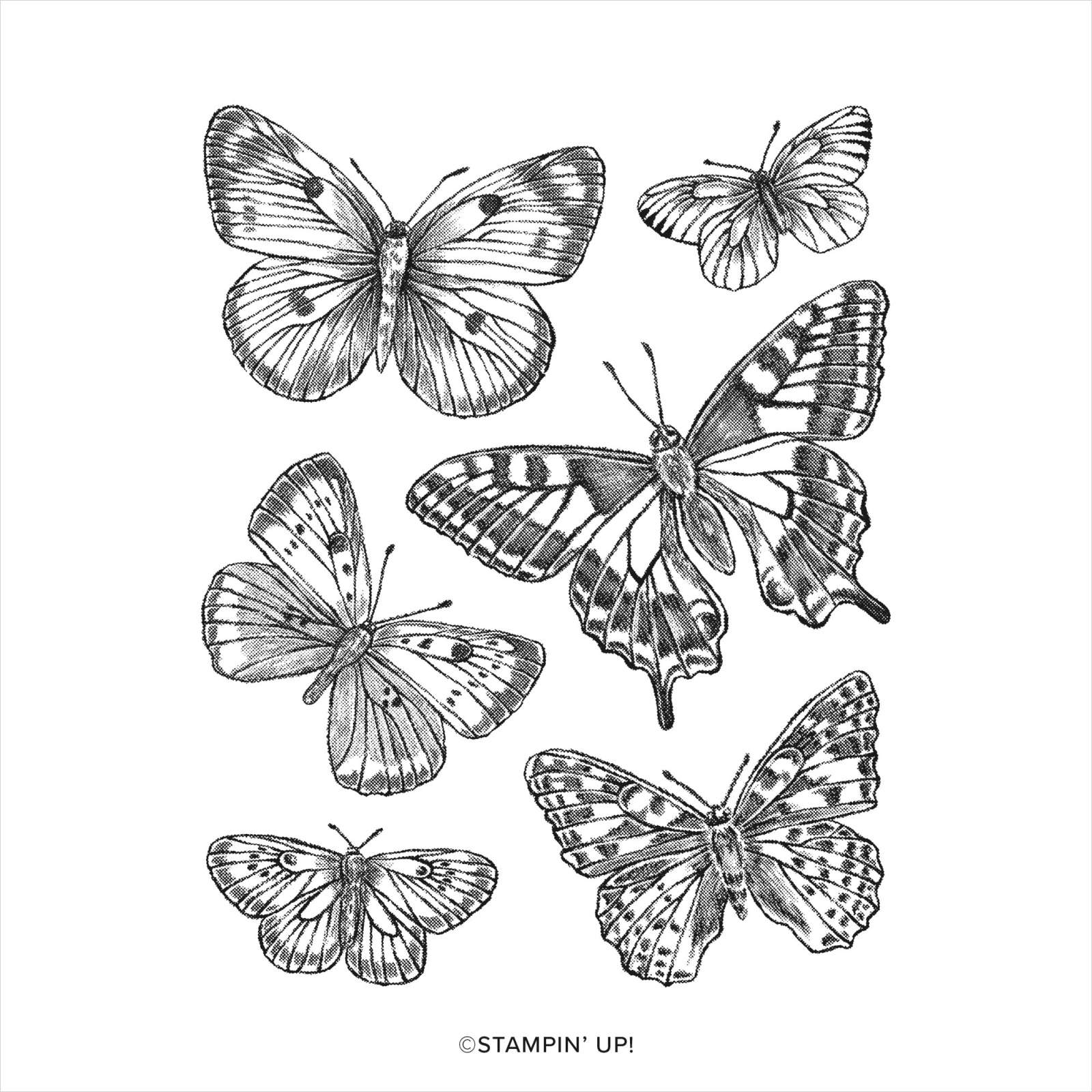 Stempelset Butterfly Brilliance - 155092