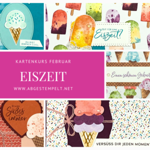 Kartenkurs Februar Eiszeit Stampin Up abgestempelt