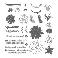 Sukkulente Akzente