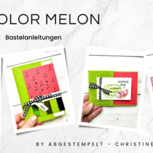 Stampin Up Watercolor Melon bastel Kurs abgestempelt