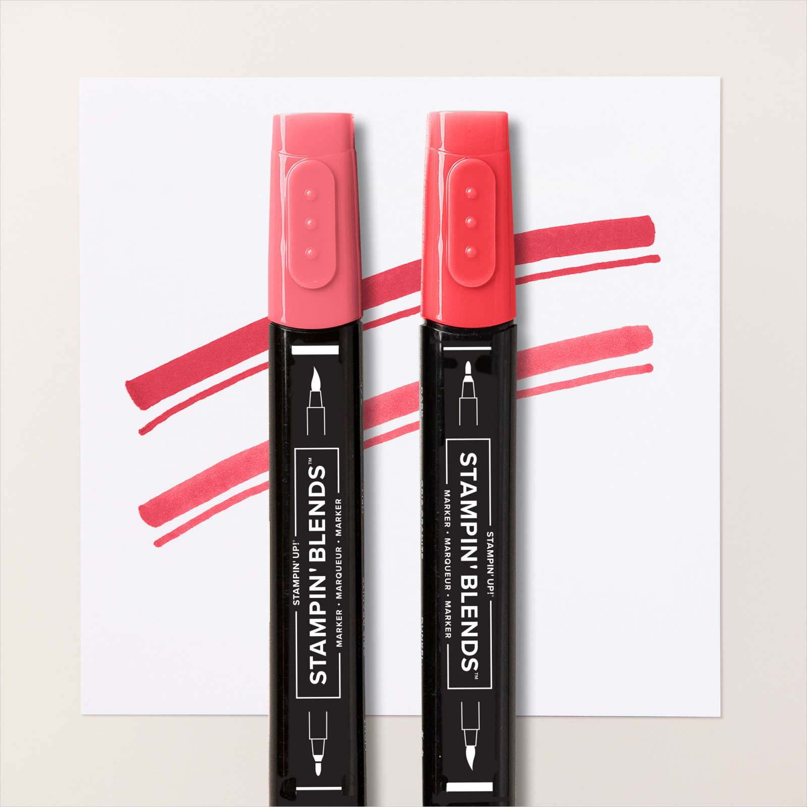 Blends Kombipack Sommersorbet