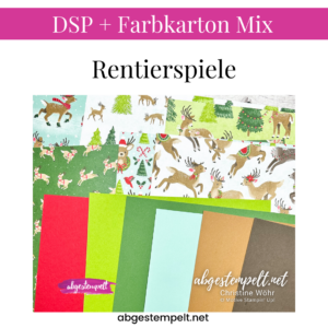 DSP + Farbkarton Mix Rentierspiele