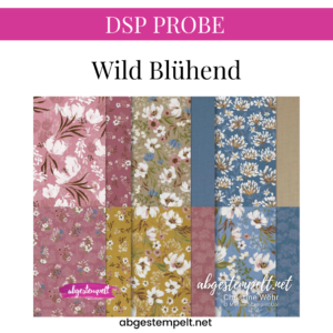 DSP + Farbkarton Mix Wild Blühend