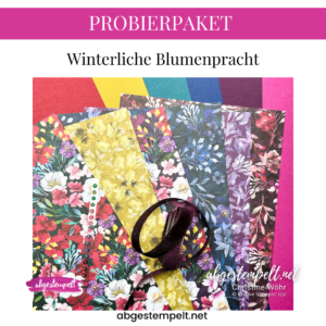 PROBIERPAKET Winterliche Blumenpracht 2024