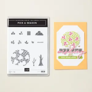 164969 Pick a Season