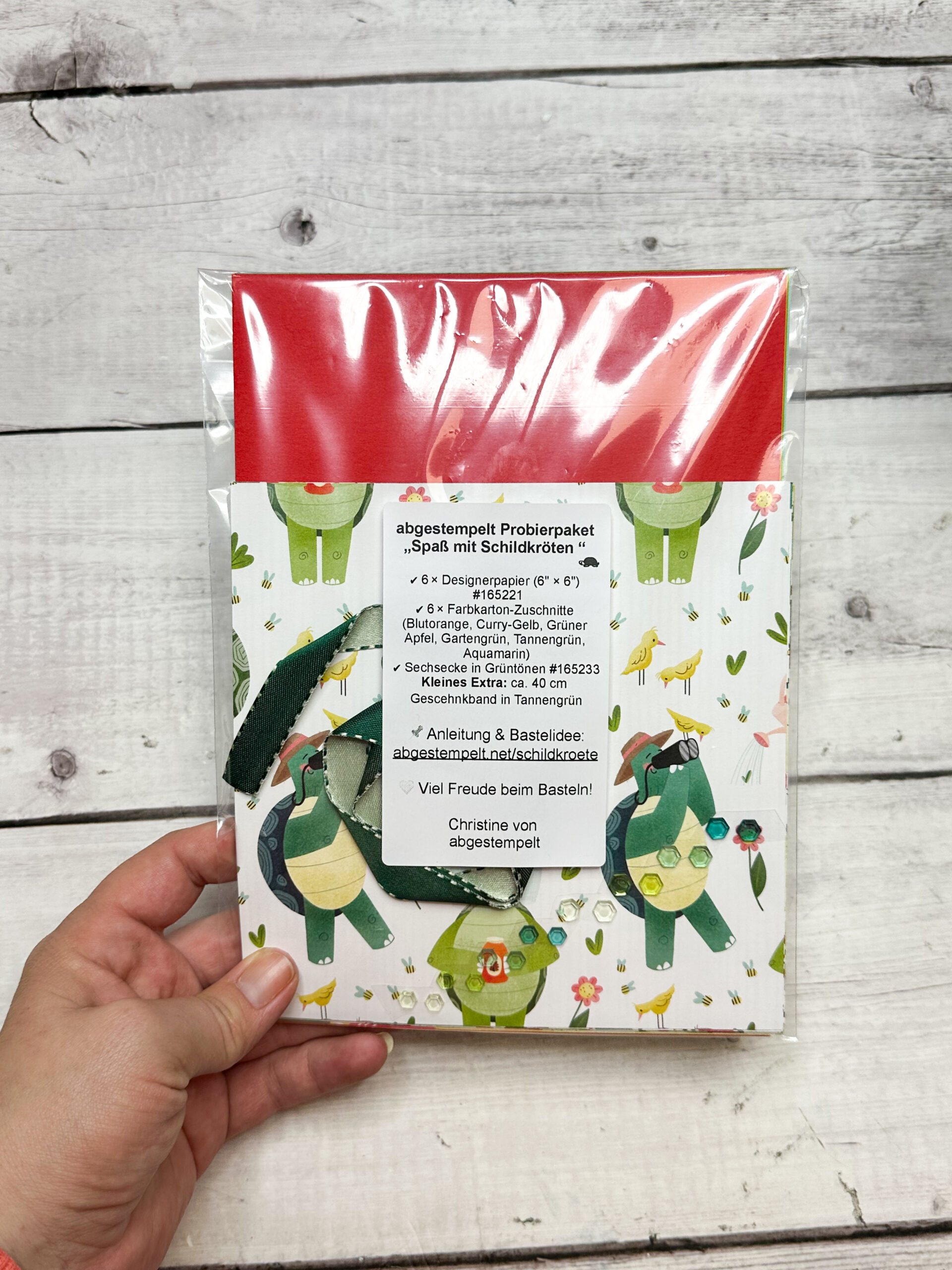 Probierpaket Spaß mit Schildkröten