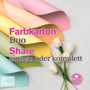 Farbkarton Share Jahreskatalog 20252026